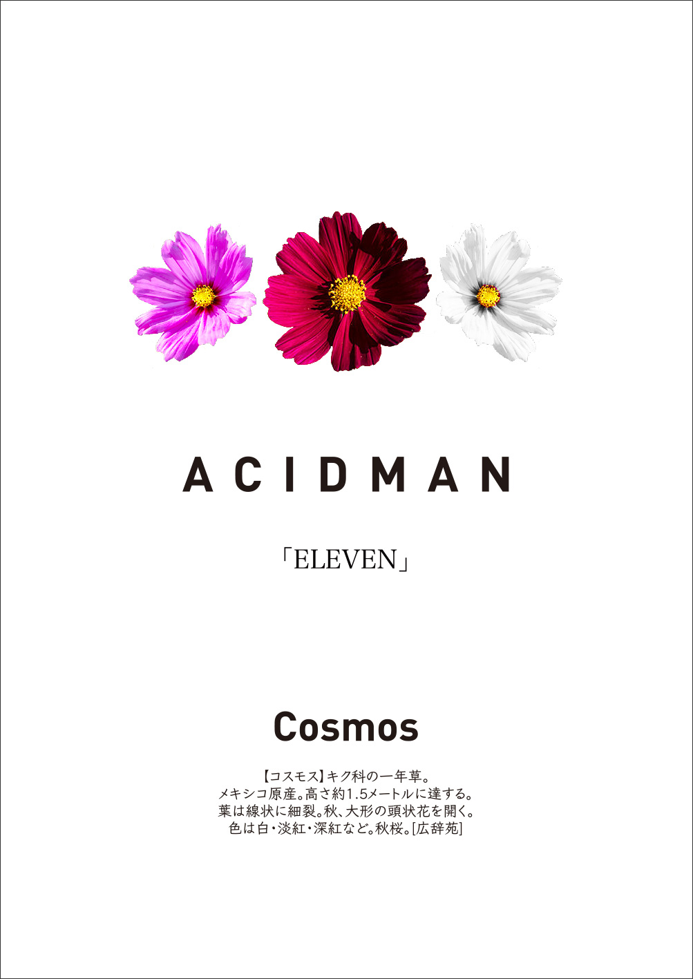 昨年の配信ライブをまとめた3枚組DVD「ELEVEN」パッケージ写真＆特典 